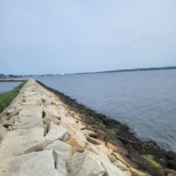 Salter Grove Memorial Park