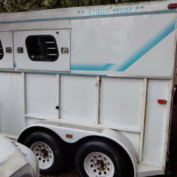 ShineTime - Horse Trailer 5