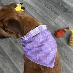 Bandana Sewn Bandana Sewn