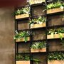 Photo of Interior Plant Landscaping of Houston
