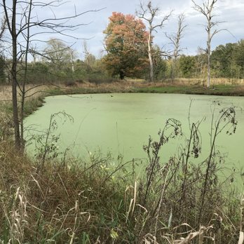 Silver Spring Township - There are a few algae ponds along the first half of the trail - Parks Near Me - Mechanicsburg, Pennsylvania Silver Spring Township - There are a few algae ponds along the first half of the trail - Parks Near Me - Mechanicsburg, Pennsylvania