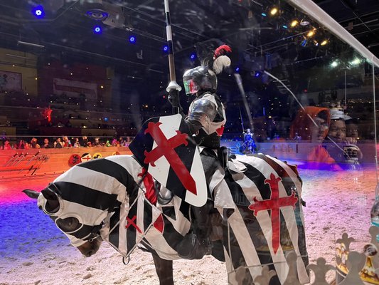 Medieval Times Dinner & Tournament by null