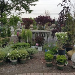 Hall's Nursery