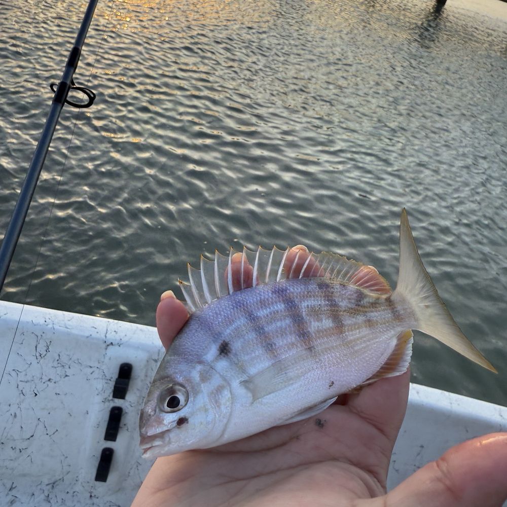 Clean Fun Fishing  - Fishing Near Me - Rockport, Texas