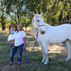 Trail Brothers - Prince the photogenic horse