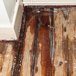 Ability Restoration - Ability Restoration Company in Glendale CA - Providing Free Estimates For Any Damage Restoration or Mold Remidietion.