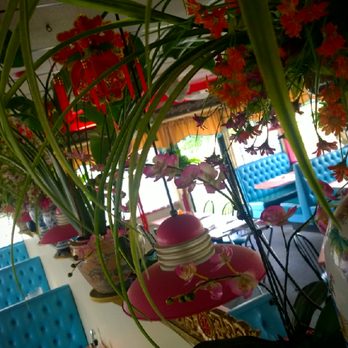 New Hong Kong - You eat in beautiful jungle love - Chinese Near Me - Taylor, Michigan New Hong Kong - You eat in beautiful jungle love - Chinese Near Me - Taylor, Michigan