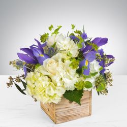 Natures Splendor Florist - A Breath of Fresh Air