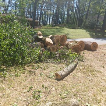 Don's Tree Service - This is what my yard looked like for a week. - Tree Services Near Me - Atlanta, Georgia