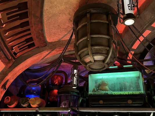 Oga's Cantina at the Walt Disney World Resort by null