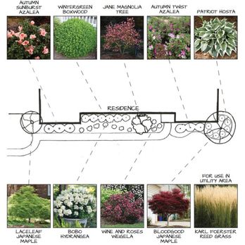 Irreco - different types of ornamental plants - Landscaping Near Me - St. Louis, Missouri Irreco - different types of ornamental plants - Landscaping Near Me - St. Louis, Missouri