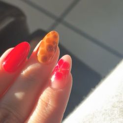 Signature Nails Spa - Nails