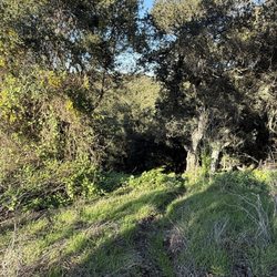 Royal Oaks County Park - Sendero
