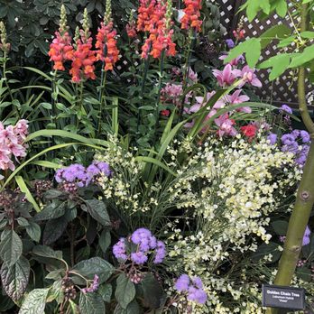 Lincoln Park Conservatory - Parks Near Me - Chicago, Illinois Lincoln Park Conservatory - Parks Near Me - Chicago, Illinois
