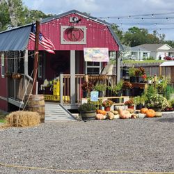 Kasheta Farms