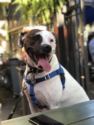 garden district by null