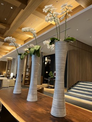 JW Marriott Hotel Nara by null