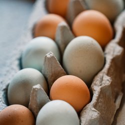 Wichita Falls Farmers Market - Farm fresh eggs!