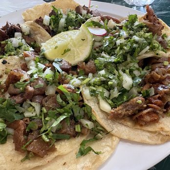 Tacos El Torito - Tripas & Lengua Tacos - Mexican Near Me - Othello, Washington Tacos El Torito - Tripas & Lengua Tacos - Mexican Near Me - Othello, Washington