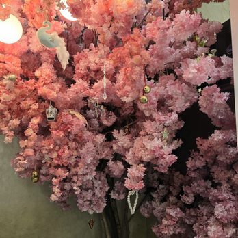 Treatz Edinburgh - A decorated cherry blossom tree - Coffee & Tea Near Me - Edinburgh, EDH