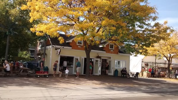 Wild Willy’s Ice Cream by null