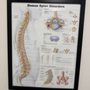 Photo of Back On Track Physical Therapy