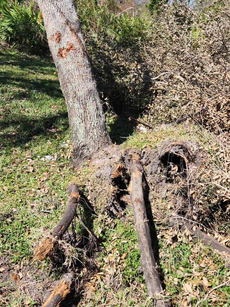 Slide of CHDO by Sunrise City