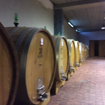Tenuta Fanti - Wineries Near Me - Siena, SI