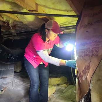 Invicta Pest Control - Termite inspections must be thorough. - Pest Control Near Me