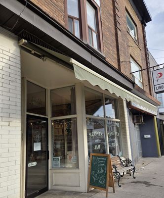 Kitten and the Bear by null