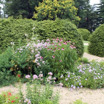 William Paca House and Garden - Flower parterre. - Museums Near Me - Annapolis, Maryland William Paca House and Garden - Flower parterre. - Museums Near Me - Annapolis, Maryland