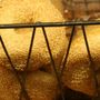 Photo of Bagel Basket Cafe