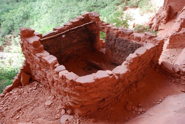Navajo National Monument by null