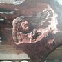 Photo of Karl Martin Masonry & Painting