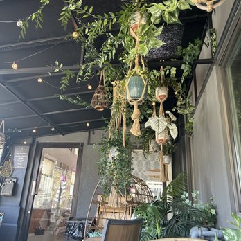 The Compound Coffee - Ambiance - Coffee & Tea Near Me - Verona, New Jersey The Compound Coffee - Ambiance - Coffee & Tea Near Me - Verona, New Jersey