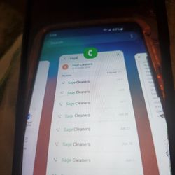 Sage Cleaners - List of all my calls to Barbara