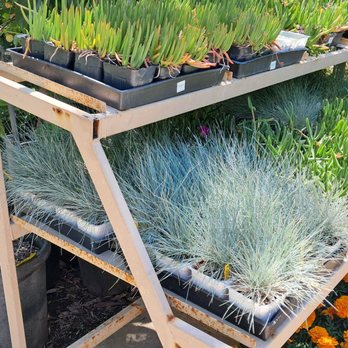 Topanga Nursery - Nurseries & Gardening Near Me - Chatsworth, California Topanga Nursery - Nurseries & Gardening Near Me - Chatsworth, California