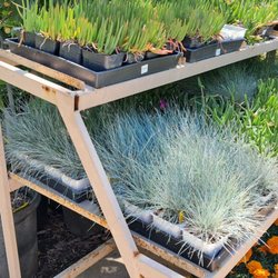 Topanga Nursery