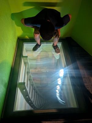 Ripley’s Illusion Lab by null