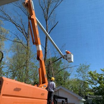 Quality Tree Services - During - Tree Services Near Me
