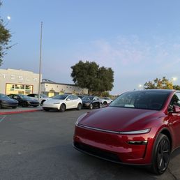Model Y Model Y