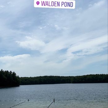 Walden Pond State Reservation - Parks Near Me - Concord, Massachusetts
