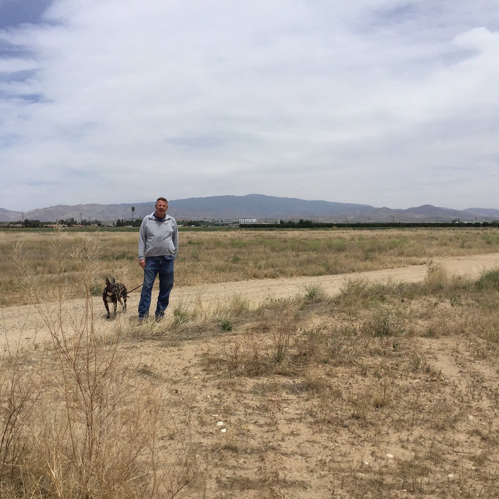 Huge field to walk around! Huge field to walk around!
