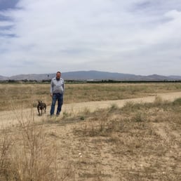 Huge field to walk around!