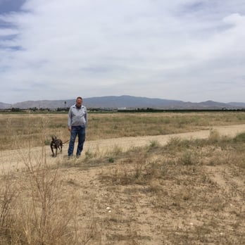 Bakersfield RV Park - Huge field to walk around! - RV Parks Near Me - Bakersfield, California