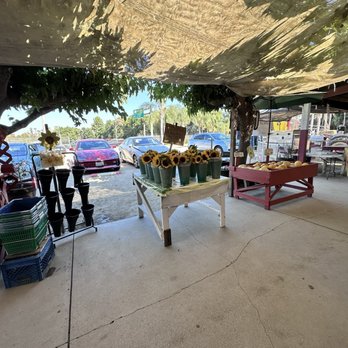 Tapia Bros Farm - Fruits & Veggies Near Me - Encino, California Tapia Bros Farm - Fruits & Veggies Near Me - Encino, California