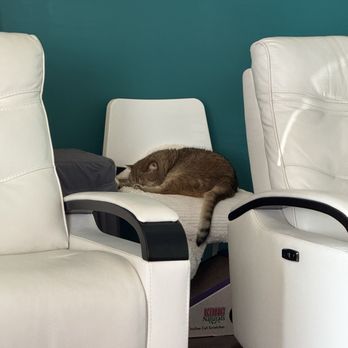 Massage Yee & Spa - Kitty!!! - Massage Near Me - Lompoc, California
