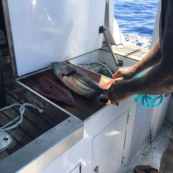 808955FISH - *EPIC FAIL* Kitchen Chopping Knife Fillet Service - Fishing Near Me - Honolulu, Hawaii 808955FISH - *EPIC FAIL* Kitchen Chopping Knife Fillet Service - Fishing Near Me - Honolulu, Hawaii