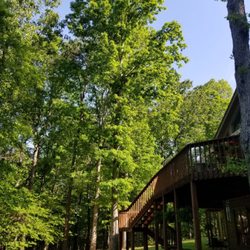 Innovation's tree service - TREE REMOVAL