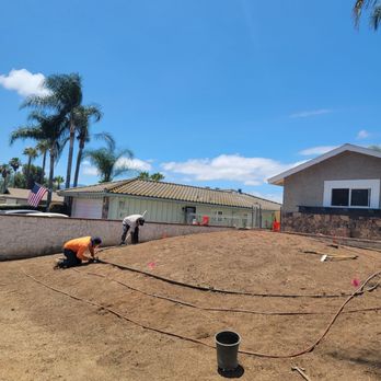 Cesar's Tree Service - Okd grass removal and new sprinklers installed - Tree Services Near Me Cesar's Tree Service - Okd grass removal and new sprinklers installed - Tree Services Near Me